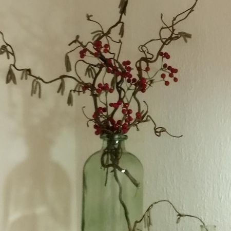 מאלניץ Ferienhaus Erika מראה חיצוני תמונה